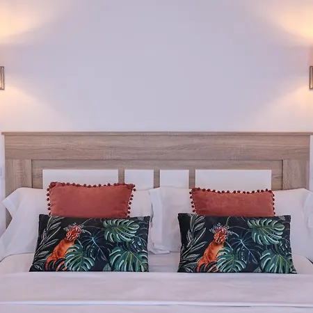 Sofia En Apartamento